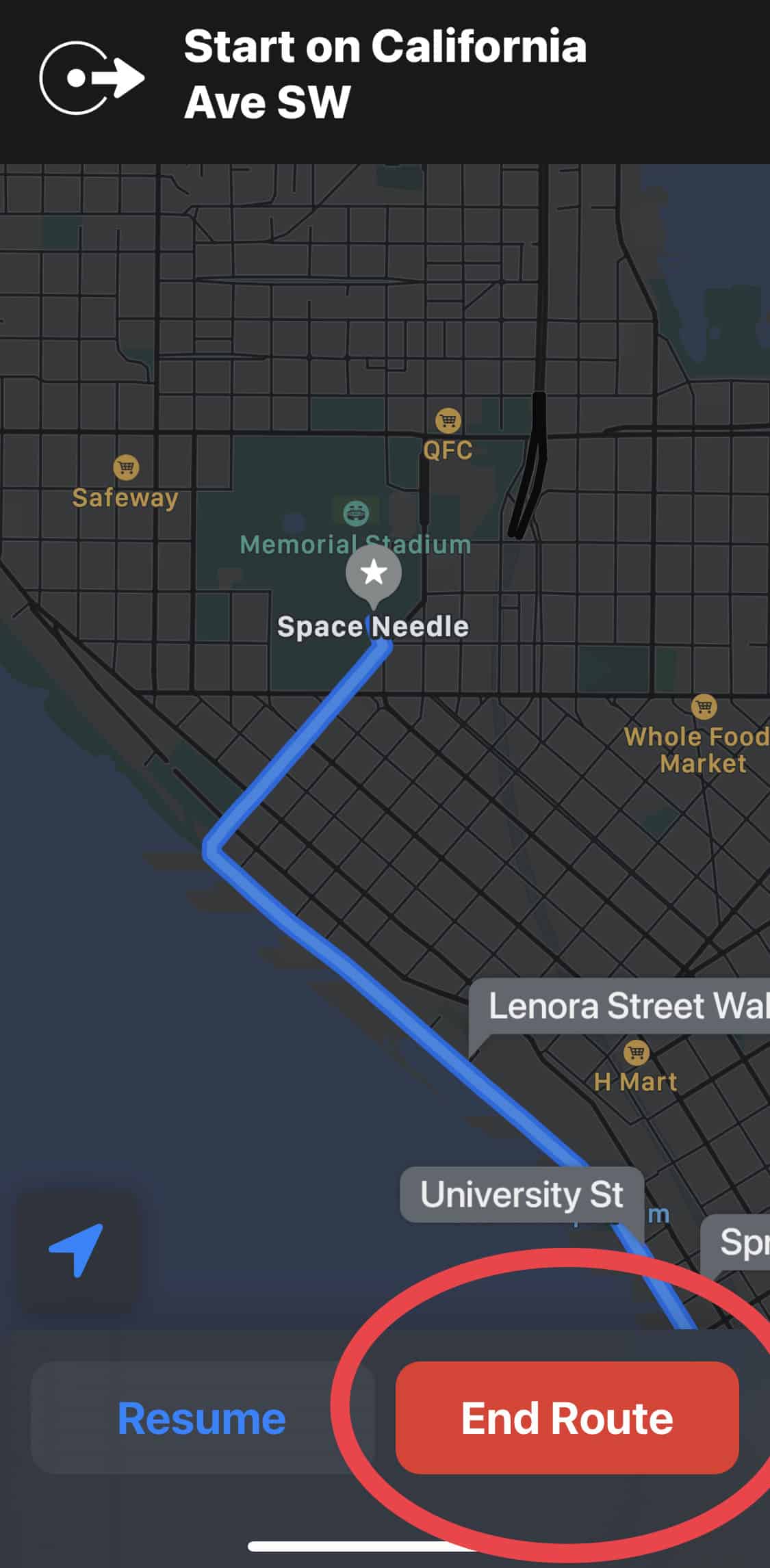 Tap "End Route" - Apple Maps